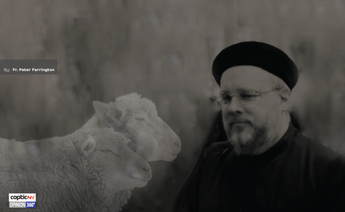 The Lost Sheep of Orthodoxy [Part 1]